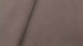 Изображение ткани Royal I Shiitake - 61030 превью