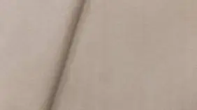 Изображение ткани Royal I Sandy - 61024 превью